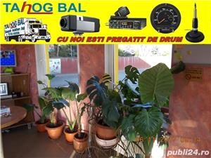 Statie albrecht - imagine 7