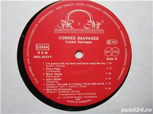 vinil rar gypsy jazz Cordes Sauvages made Germany 1984 impecabil - imagine 3