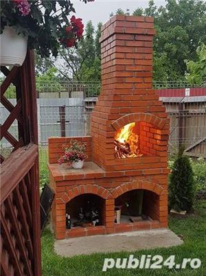 Seminee si gratare de gradina - imagine 3