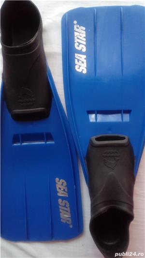 Vand labe scuba diving Sea Star