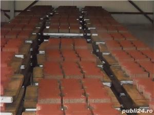 Boltari    Fundatie - imagine 23