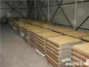 Boltari    Fundatie - imagine 28