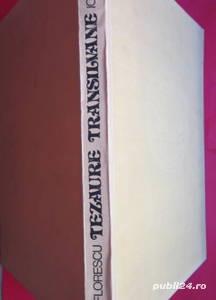 Tezaure transilvane, Radu Florescu, Ion Miclea, 1979