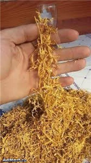 F.iricel si t.ocat. CALITATE EXTRA. 2kg+500 gr GRATIS