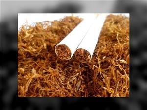 vand .firi.cel de calitate . 