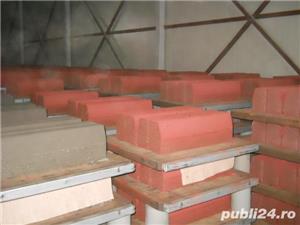 Boltari de gard - imagine 11