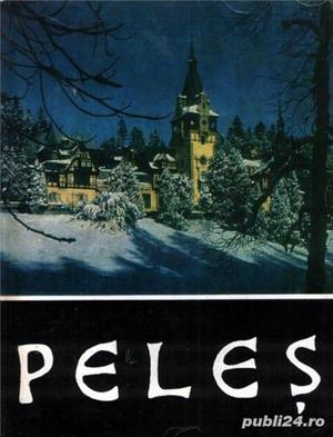 Muzeul Peleş, album 1969