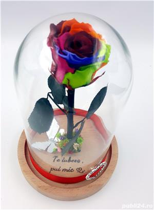 Trandafiri Criogenati 6.5cm cu cupola de sticla 27-30cm - imagine 6