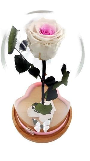 Trandafiri Criogenati 6.5cm cu cupola de sticla 27-30cm - imagine 7