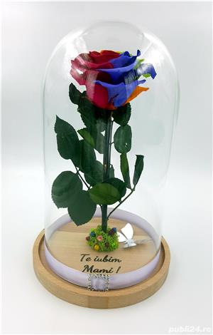 Trandafiri criogenati BiaRose 10-12 cm in cupola de sticla 30cm - imagine 5