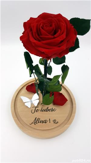 Trandafiri criogenati BiaRose 10-12 cm in cupola de sticla 30cm - imagine 3