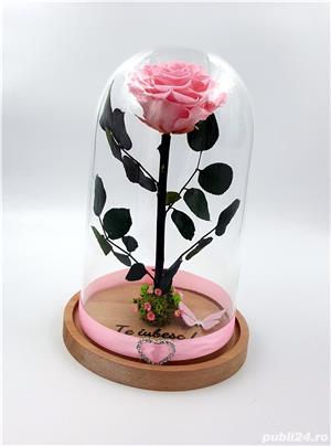Trandafiri criogenati BiaRose 10-12 cm in cupola de sticla 30cm - imagine 9