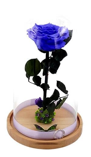 Trandafiri criogenati BiaRose 10-12 cm in cupola de sticla 30cm - imagine 6