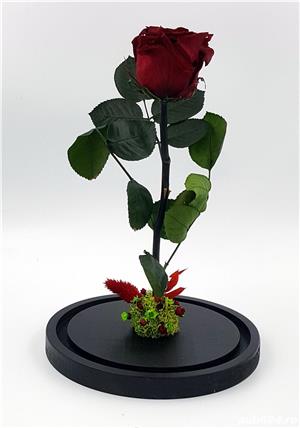 Trandafiri Criogenati 6.5cm cu cupola de sticla 27-30cm - imagine 9