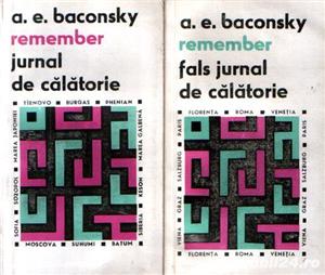 Remember - Jurnal de călătorie / Fals jurnal de călătorie (2 vol.)