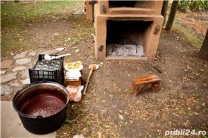 Magiun din Prune Negre - fara zahar   100% NATURAL - imagine 4