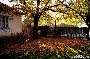 Tinctura de castane - naturala 100% - imagine 4