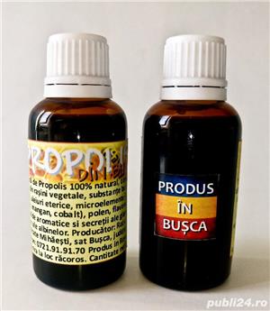 Tinctura de propolis - naturala 100%