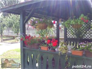foisoare si pergole - imagine 2