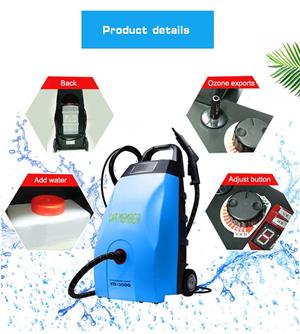 Igenizare Climatizare auto cu Ozon sect.6  - imagine 6