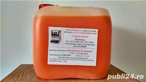 Concentrat de Piersici