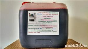 Concentrat de Fragute cu indulcitor inclus