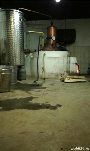 Palinca curata de prune