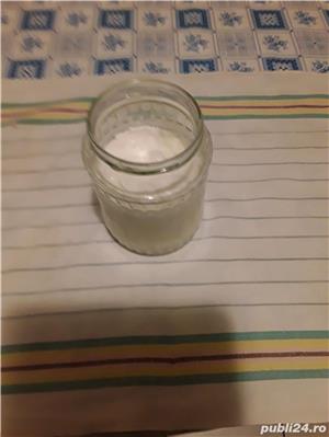 ciuperca tibetana Kefir - imagine 3