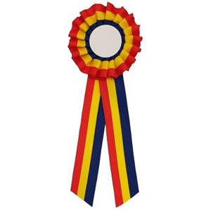 Cocarde Personalizate - Cocarde Tricolore - Cocarde Centenar Romania - imagine 2