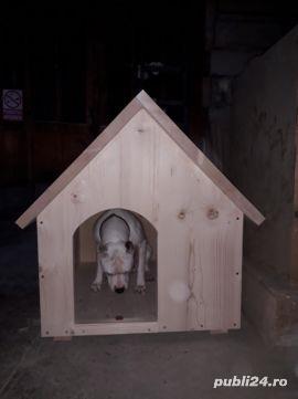 Cu?ca de câine  - imagine 6