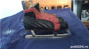 vand pantine gheata,patinaj viteza