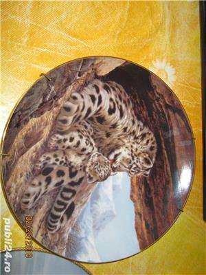 Canada farfurii pictate originale,sisteme fixare,rame octogonale dedicate,cutii transport speciale - imagine 10