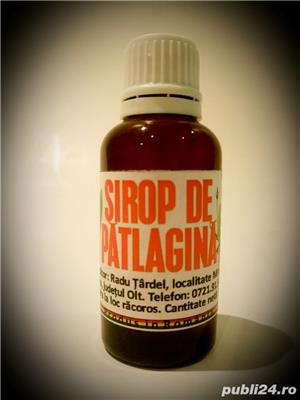 Sirop de patlagina - natural 100% - imagine 2