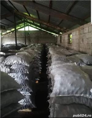 Brichete Ecologice din Lignit la Sac - imagine 2