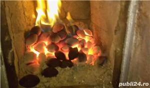 Brichete Ecologice din Lignit la Sac - imagine 3