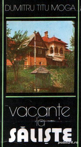 Vacanţe la Sălişte