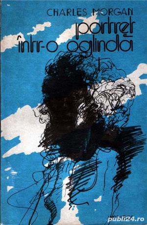 Portret într-o oglindă