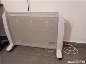 Convector radiant Delex