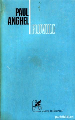 Fluviile de Paul Anghel