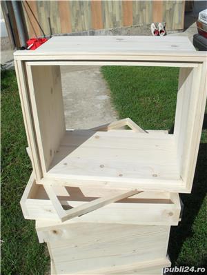 stupi albine - imagine 2