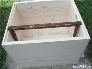 stupi albine - imagine 4