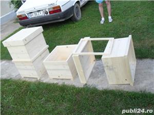 stupi albine - imagine 6