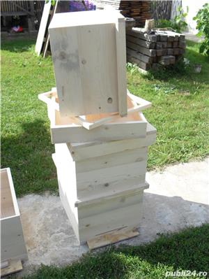 stupi albine - imagine 5