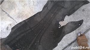 Carenaj aripa interioara roata stanga spate FORD FOCUS 1998-2004  5 usi hatchback - imagine 4