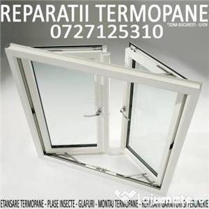 reparatiin termopane la doar 50 ron,plase insecte la 50 ron