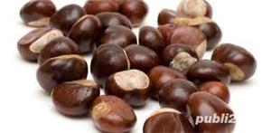 Castane salbatice necomestibile pentru uz extern 