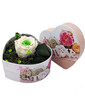 Trandafir criogenat 6,5cm intr-o cutie in forma de inima  - imagine 17