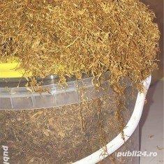 T.ocat si f.iricel galben auriu