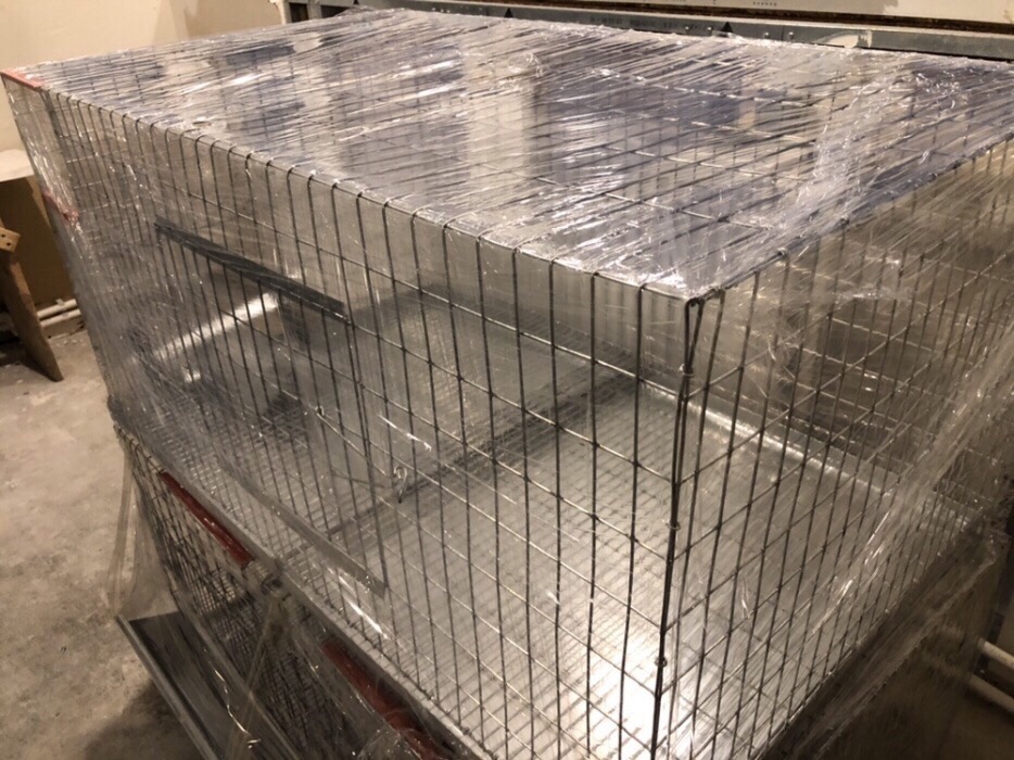 Cusca iepuri tineret 80 cm.    - imagine 5