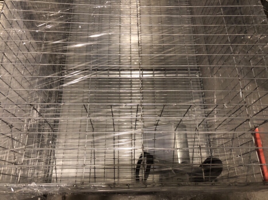 Cusca iepuri tineret 80 cm.    - imagine 4